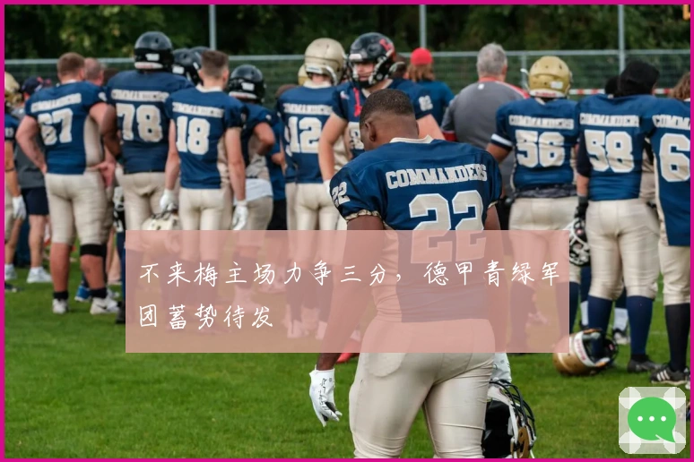 不来梅主场力争三分,德甲青绿军团蓄势待发