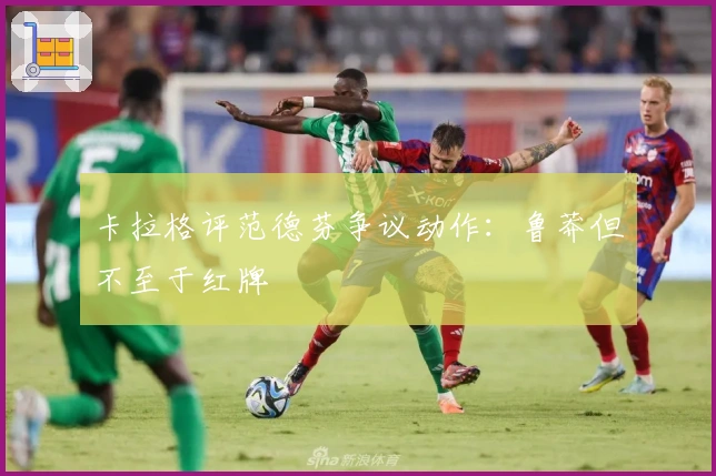 卡拉格评范德芬争议动作：鲁莽但不至于红牌